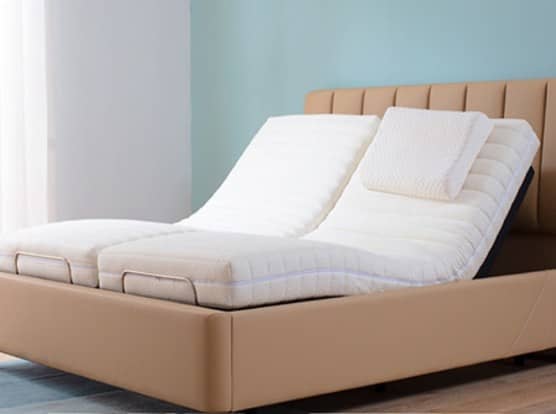 Double Electrical Care Bed